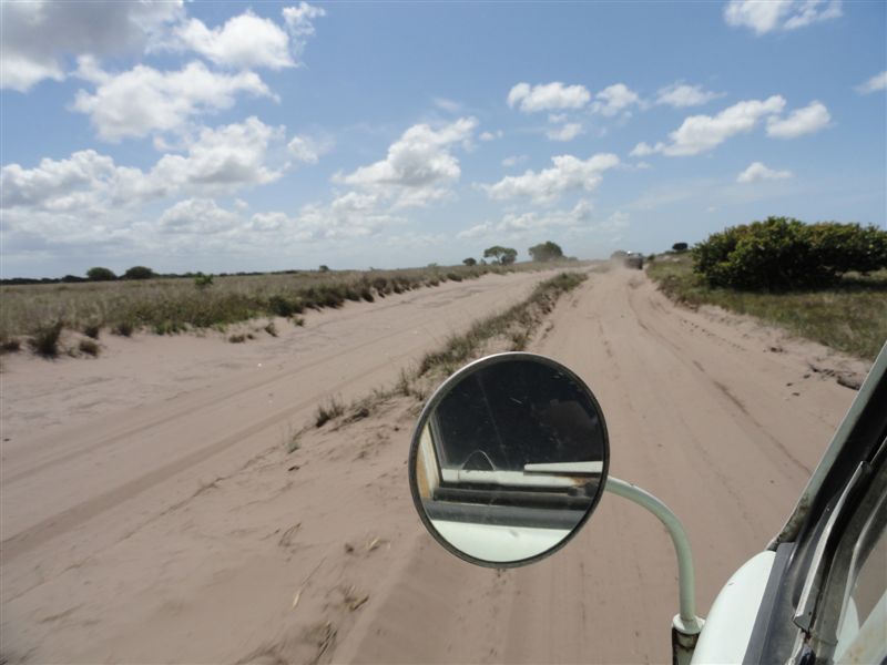 Image may have been reduced in size. Click image to view fullscreen.