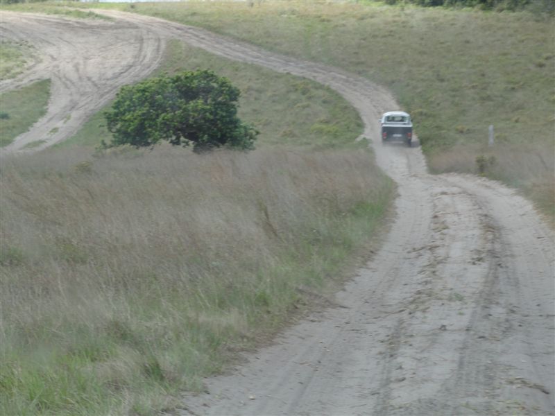 Image may have been reduced in size. Click image to view fullscreen.