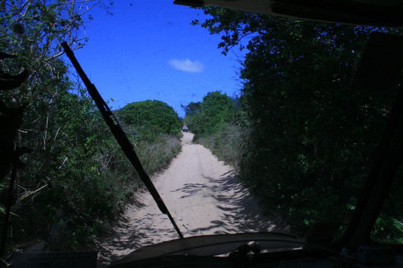 Image may have been reduced in size. Click image to view fullscreen.