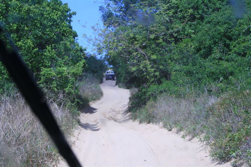 Image may have been reduced in size. Click image to view fullscreen.